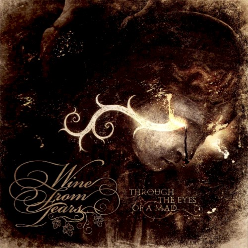 Through The Eyes Of A Mad